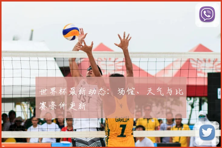 世界杯最新动态:场馆、天气与比赛条件更新