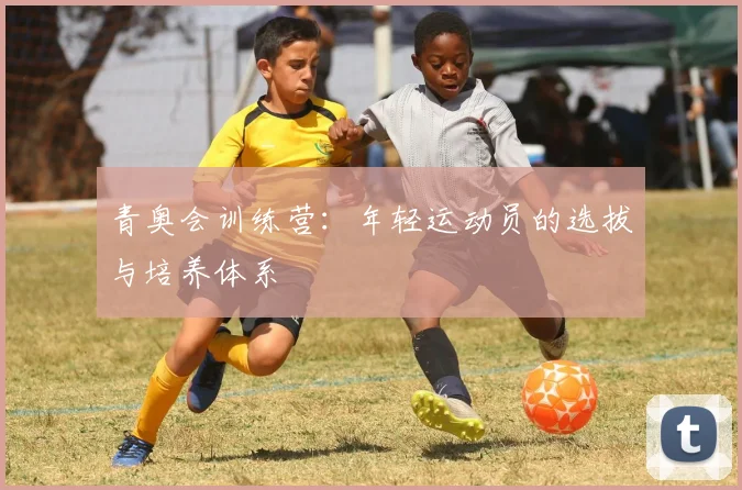 青奥会训练营:年轻运动员的选拔与培养体系