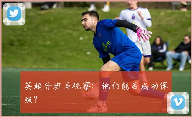 英超升班马观察:他们能否成功保级?