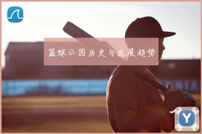 篮球公园历史与发展趋势