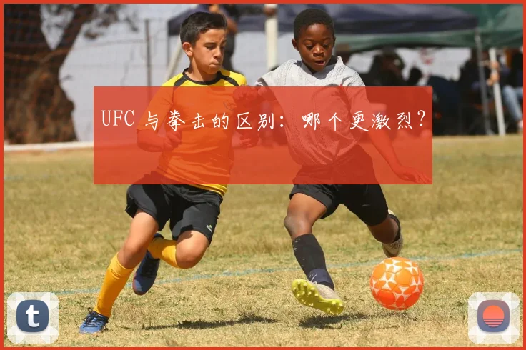 UFC 与拳击的区别:哪个更激烈?